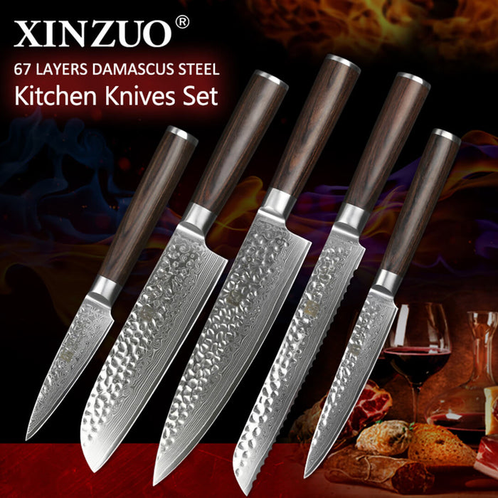 Xinzuo B1H 5 Pcs 67 Layer Damascus Steel Knife Set 2