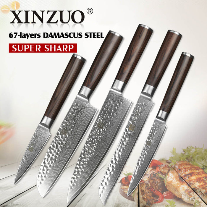 Xinzuo B1H 5 Pcs 67 Layer Damascus Steel Knife Set 5