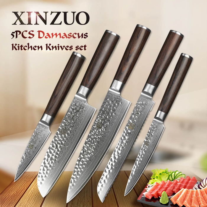 Xinzuo B1H 5 Pcs 67 Layer Damascus Steel Knife Set 7