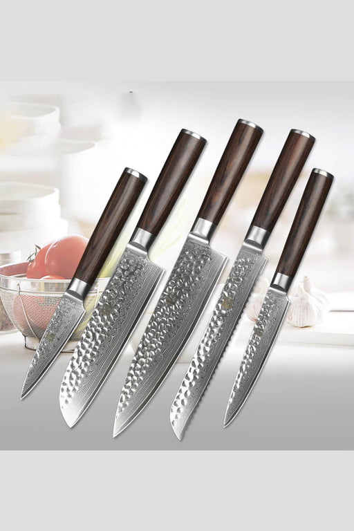 Xinzuo B1H 5 Pcs 67 Layer Damascus Steel Chef Knife Set with Pakka Wood Handle Open Box