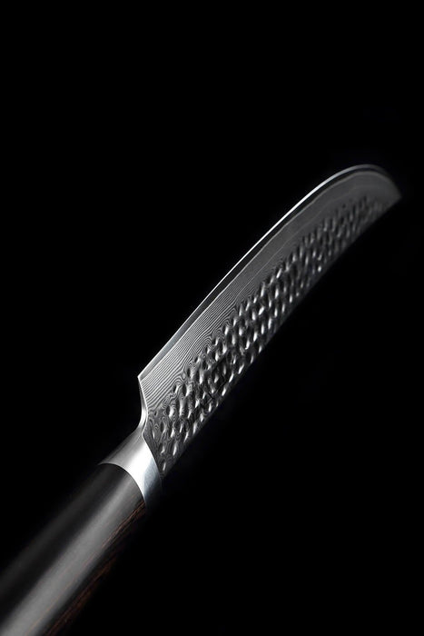 Xinzuo B1H 8" 67 Layer Damascus Carving Knife Damascus Steel Carving Knife