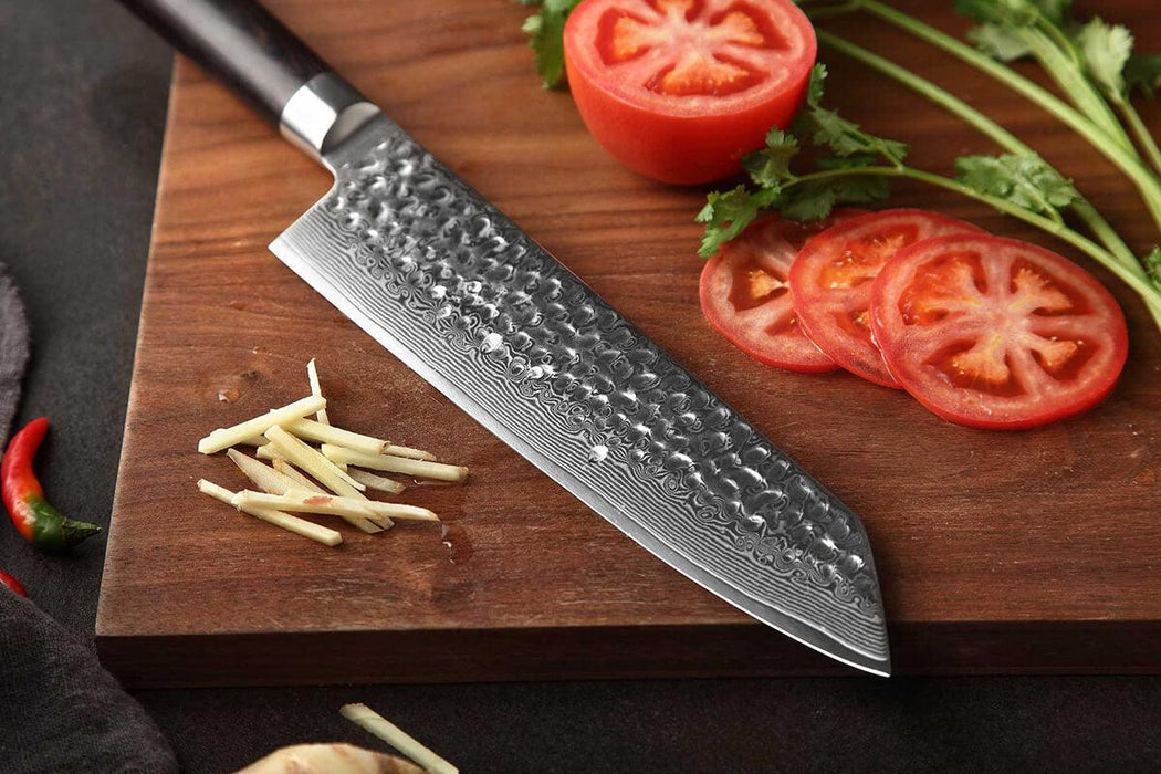 Xinzuo B1H 67 Layer Damascus Steel Gyuto Knife with Pakka Wood Handle