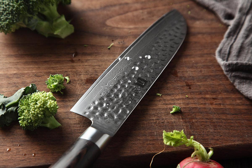 Xinzuo B1H 7" 67 layer Damascus Santoku Knife Damascus Steel Santoku Knife