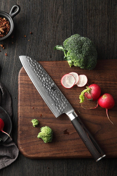 Xinzuo B1H 5" 67 layer Damascus Santoku Knife Damascus Steel Santoku Knife