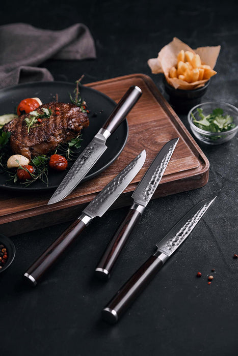 Xinzuo B1H 5" 67 Layer Japanese Damascus Steak Knife Damascus Steel Steak Knives Open Box