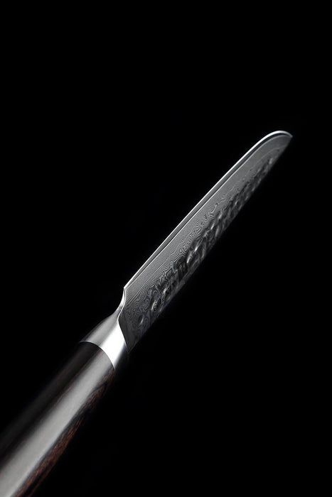 Xinzuo B1H 5" 67 Layer Japanese Damascus Steak Knife Damascus Steel Steak Knives Open Box