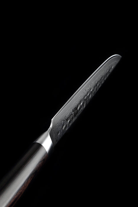Xinzuo B1H 5" 67 Layer Japanese Damascus Steak Knife Damascus Steel Steak Knives