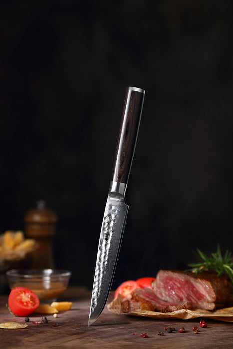 Xinzuo B1H 5” 67-layer Japanese Damascus Steak Knife