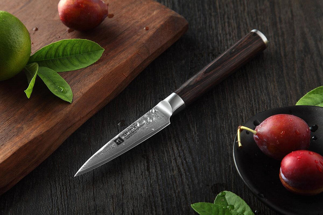 Xinzuo B1H 3.5 inches 67 layer Japanese Damascus Paring Knife Kitchen