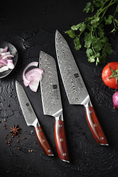 Xinzuo B27 3 Pcs 67 Layer Damascus Chef knife Set
