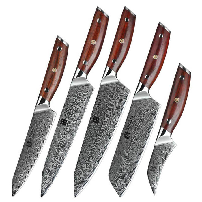 Xinzuo B27 5 Pcs 67 Layer Damascus Chef knife Set 14