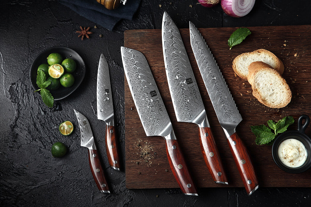 Xinzuo B27 5 Pcs 67 Layer Damascus Chef knife Set 2