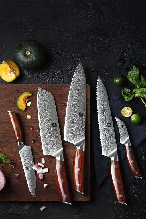 Xinzuo B27 5 Pcs 67 Layer Damascus Steel Chef knife Set