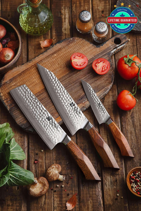 Xinzuo B32D 3 Pcs Knife Set Japan 49 Layers SRS13 FENG STRIA HAMMER Damascus  Steel – The Bamboo Guy