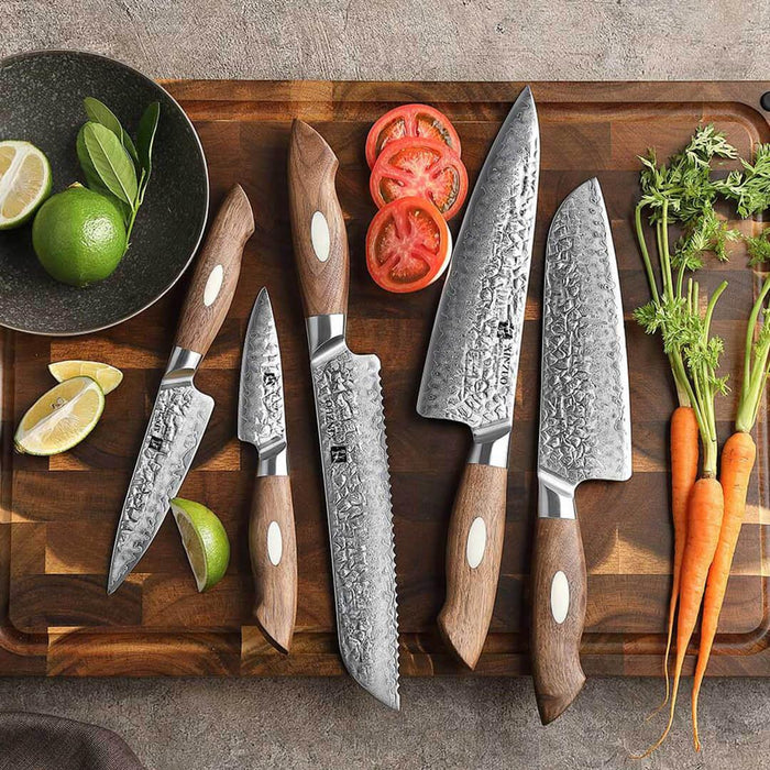 Xinzuo B46W 5 Pcs Damascus Chef Knife Set 67 Layer Genuine Japanese AUS-10 Steel Open Box