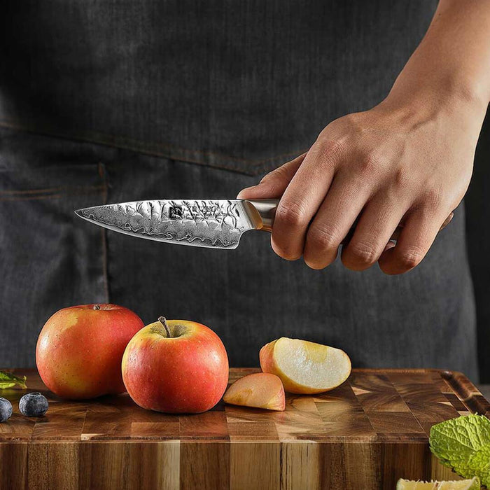 Xinzuo B46W 5 Pcs Damascus Chef Knife Set 67 Layer Genuine Japanese AUS-10 Steel Open Box