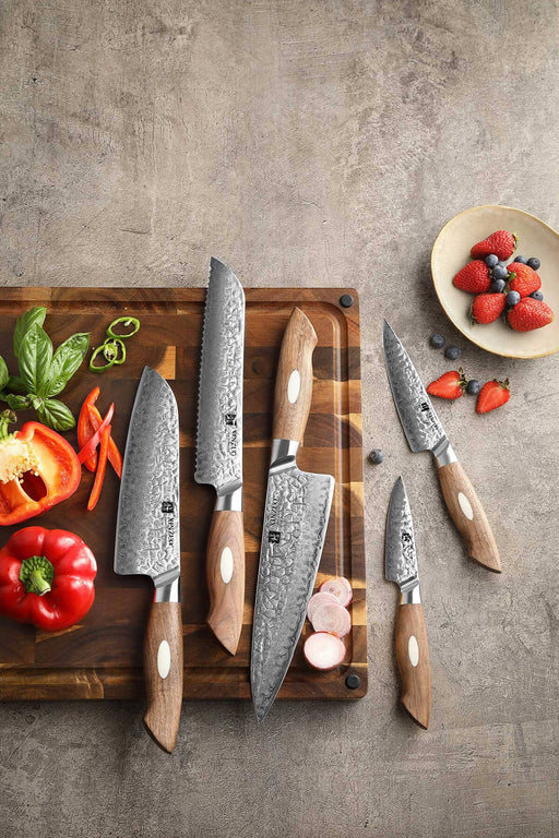 New AUS-10 Pro Damascus Chef Knife Ebony Big Handle 67-layer