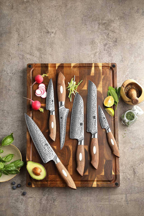 Xinzuo B46W 6 Pcs Damascus Chef Knife Set 67 Layer Genuine Japanese AUS-10 Steel