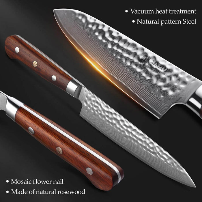 Xinzuo B9 2 Pcs 67 Layers Damascus Steel Kitchen Knife Set Chef Utility Knife Rosewood