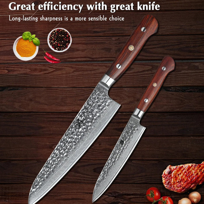 Xinzuo B9 2 Pcs Kitchen Knife Set Great Knife