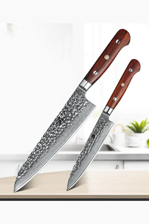 Xinzuo B9 2 Pcs 67 Layers Damascus Steel Kitchen Knife Set Chef Utility Knife Rosewood Handle
