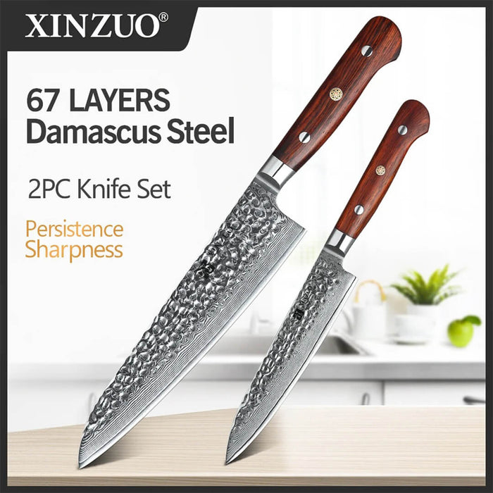 Xinzuo B9 2 Pcs 67 Layers Damascus Steel Kitchen Knife Set Rosewood Handle