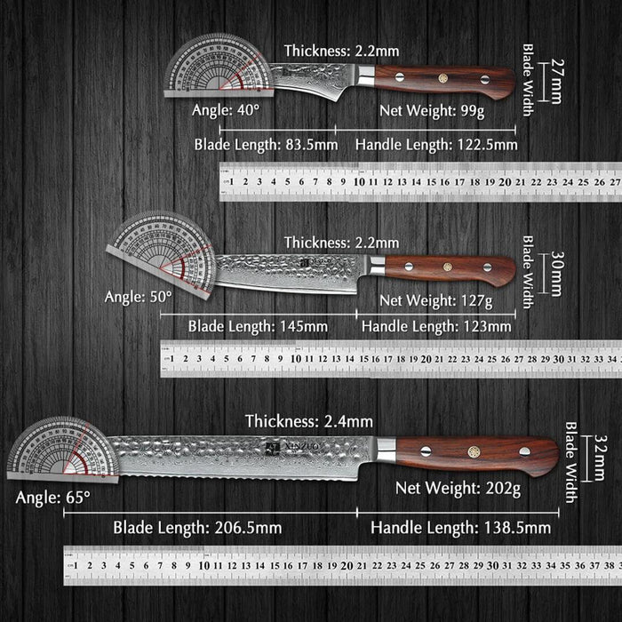 Xinzuo B9 5 Pcs Damascus Chef Knife Set 67 Layer Full Tang Rosewood Handles