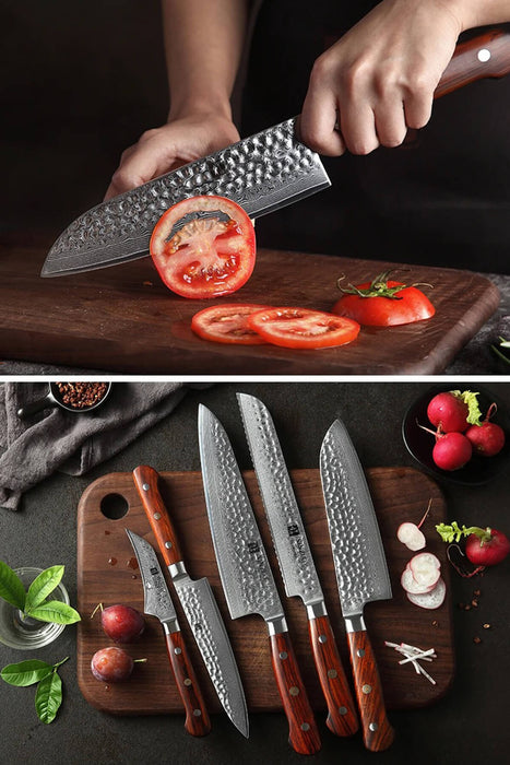 Xinzuo B9 5 Pcs Damascus Chef Knife Set 67 Layer Rosewood Handles