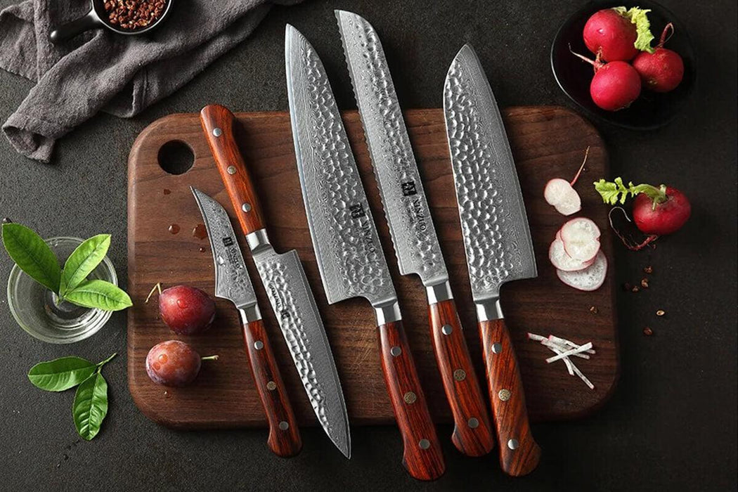 Xinzuo B9 5 Pcs Damascus Chef Knife Set 67 Layer Full Tang Rosewood Handles