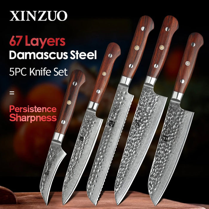 Xinzuo B9 5 Pcs Damascus Chef Knife Set 67 Layer