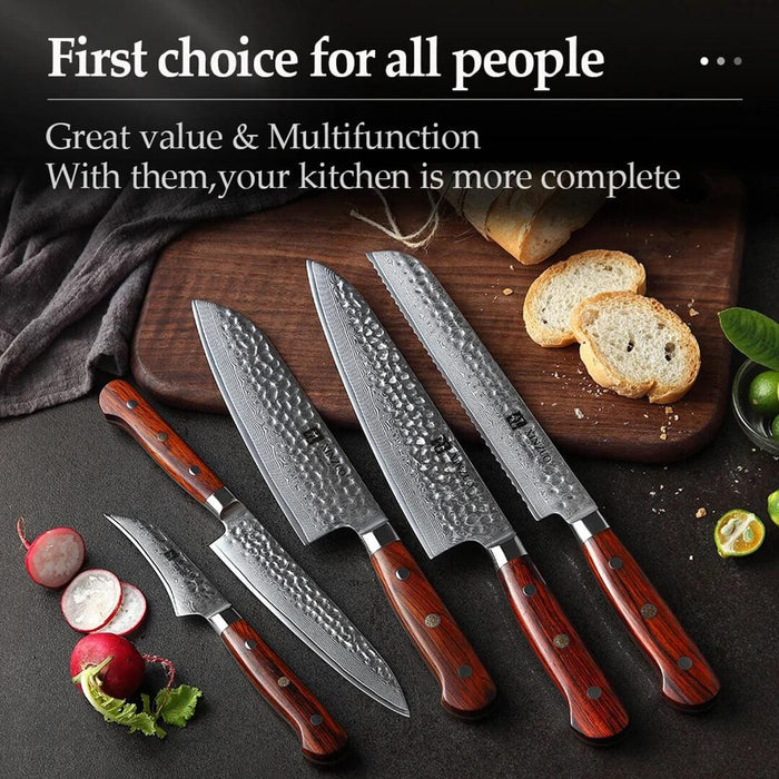 Xinzuo B9 5 Pcs Damascus Chef Knife Set 67 Layer Full Tang Rosewood Handles