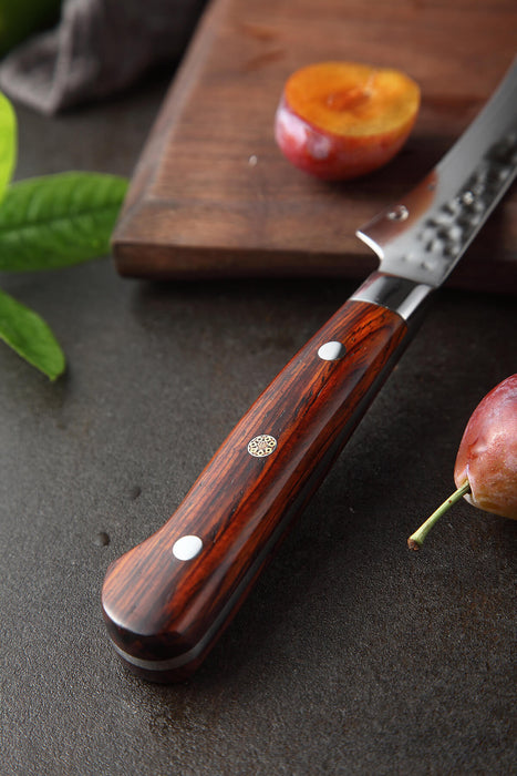 Xinzuo B9 Paring Knife Fruit Knife Damascus Steel 3