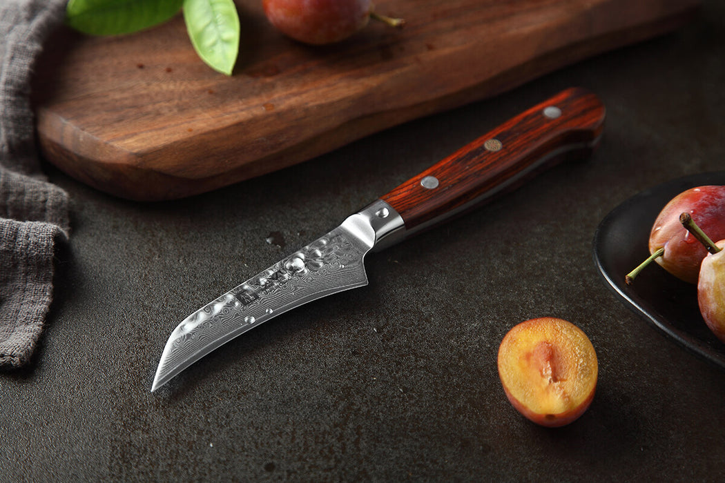 Xinzuo B9 Paring Knife Fruit Knife Damascus Steel 4