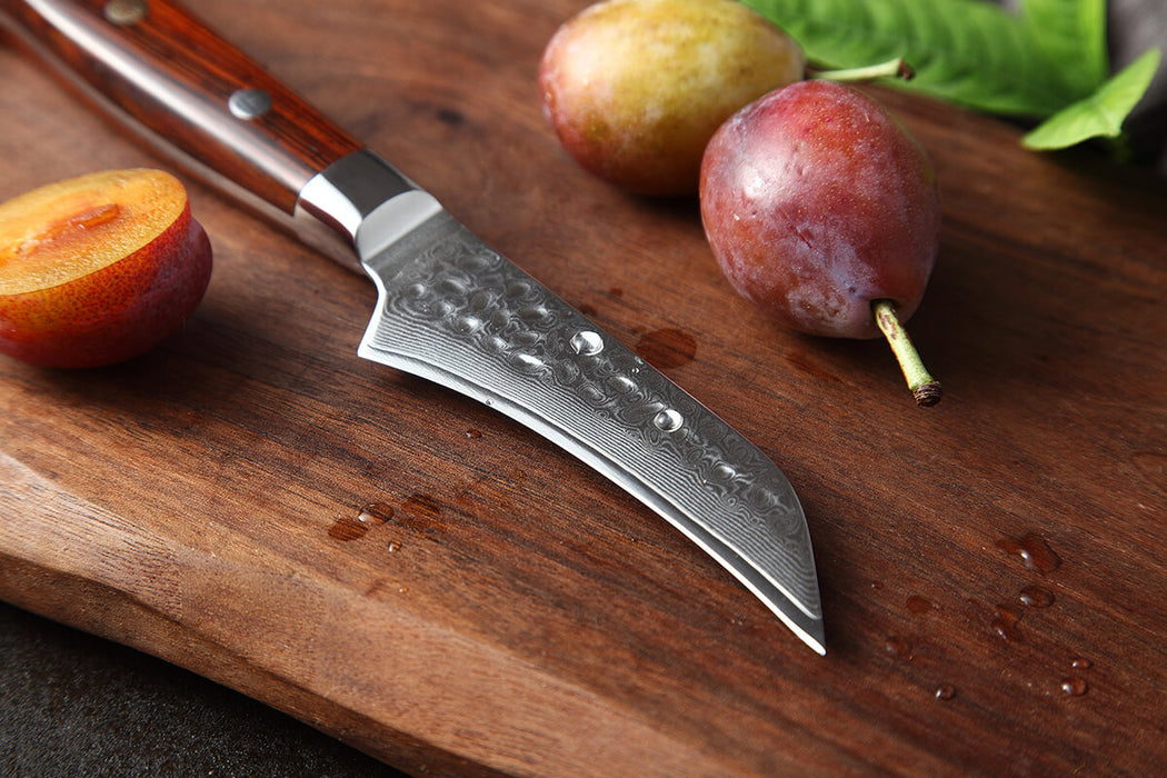 Xinzuo B9 Paring Knife Fruit Knife Damascus Steel 5