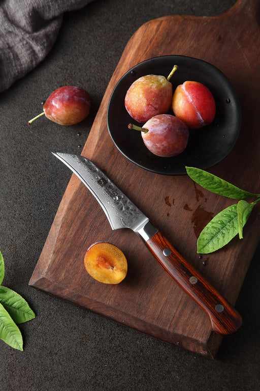 Xinzuo B9 Paring Knife Fruit Knife Damascus Steel