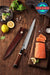 270mm High Carbon Japanese Full Damascus Desert Ironwood Handle Sashimi Kitchen Knife - The Bamboo Guy