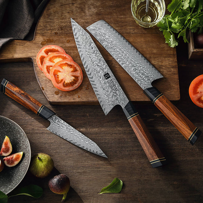 Xinzuo F2 3 Pcs 67 Layer Damascus Chef Knife Set with Desert Ironwood Handles