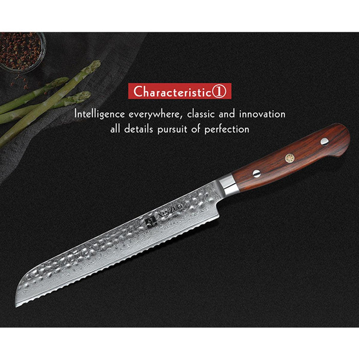 Xinzuo B9 Bread Kitchen Knife Japanese Style 67 Layers Damascus Steel Rosewood Handle - The Bamboo Guy