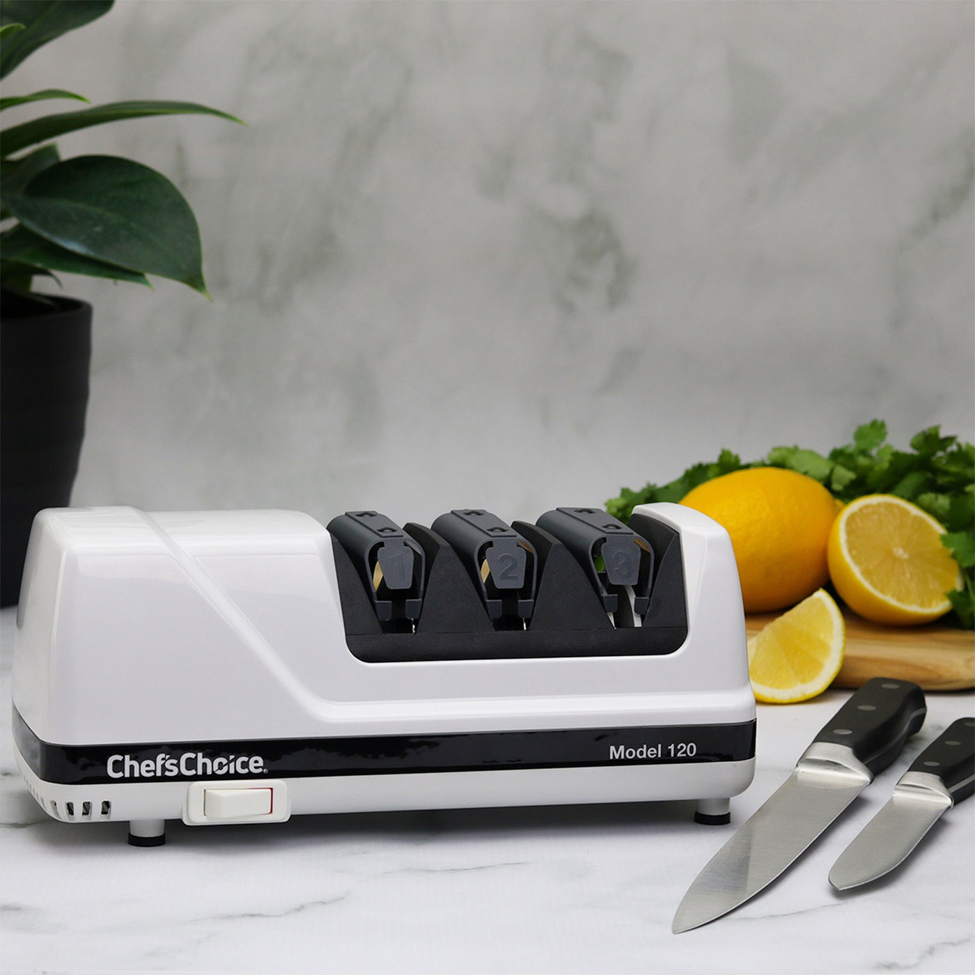 Chef's Choice 120 Diamond Knife Sharpener