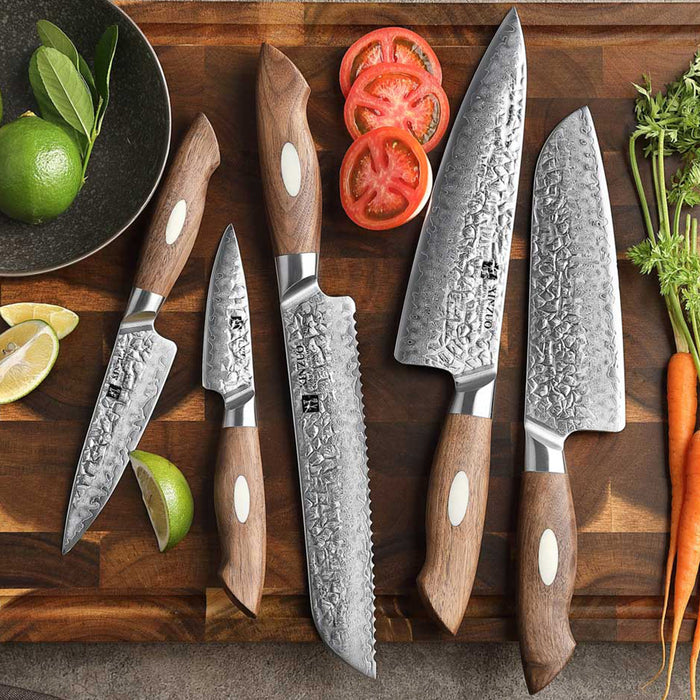 5 Pcs Damascus Chef Knife Set 67 Layer Genuine Japanese AUS-10 Steel