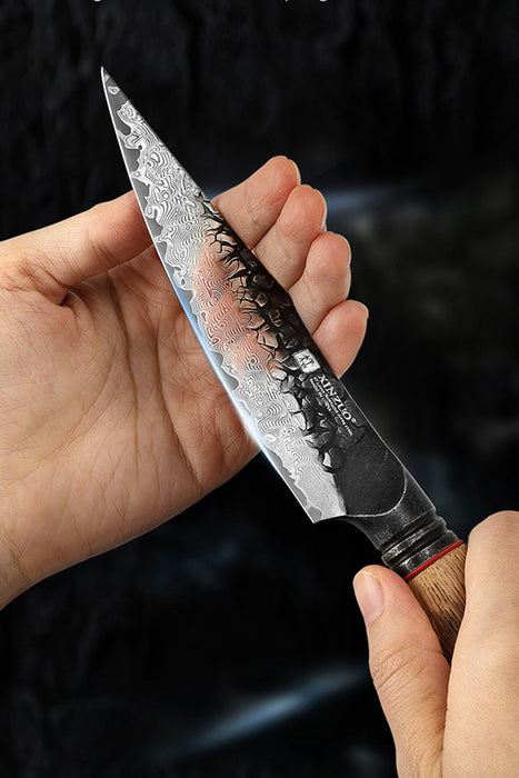 XINZUO X06 2 Pcs Damascus Steel Chef Knife Set