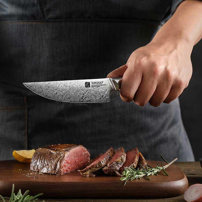 Xinzuo B46D 110 Layer Damascus Steak Knife North American Desert Ironwood 6