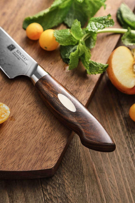 Xinzuo B46D 5" 110 Layer Damascus Utility Knife Dessert Ironwood Handles