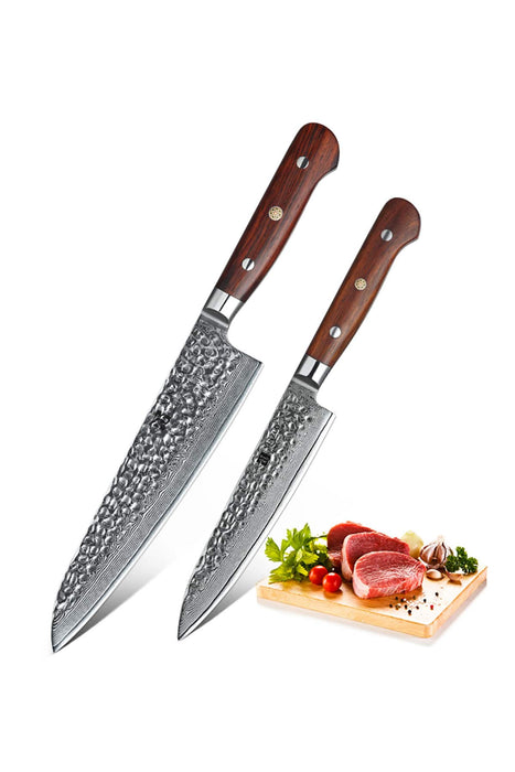 Xinzuo B9 2 Pcs 67 Layers Damascus Steel Kitchen Knife Set Chef Utility Knife 