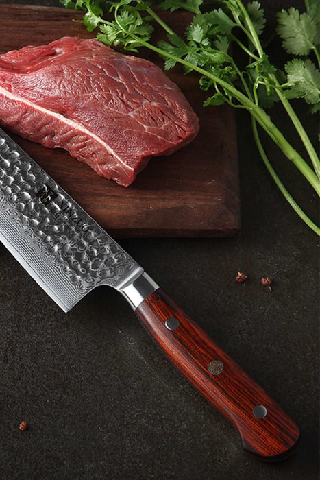 Xinzuo B9 2 Pcs 67 Layers Damascus Steel Kitchen Knife Set Chef Utility Knife Rosewood Handle