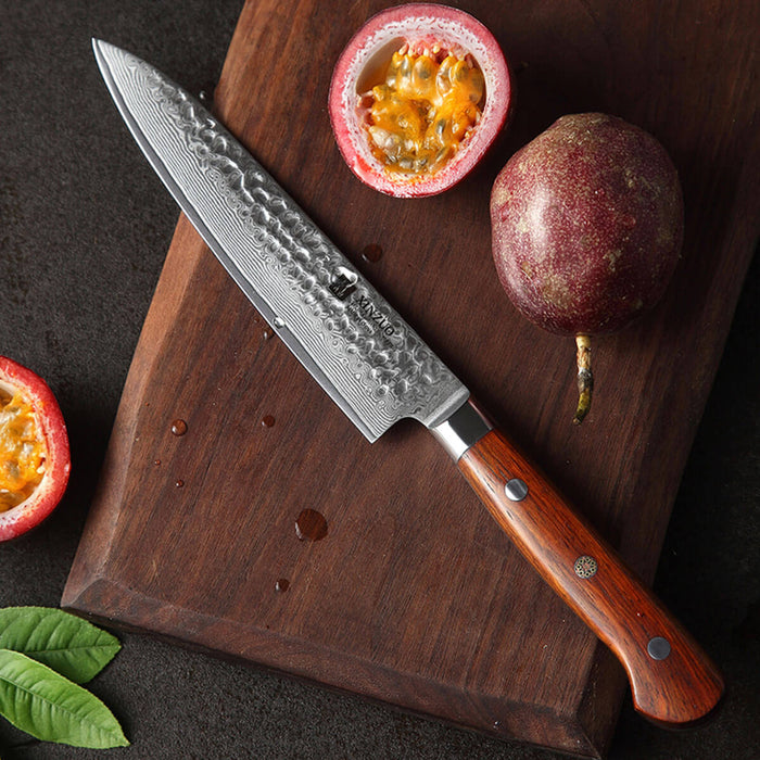 Xinzuo B9 2 Pcs 67 Layers Damascus Steel Kitchen Knife Set Chef Utility