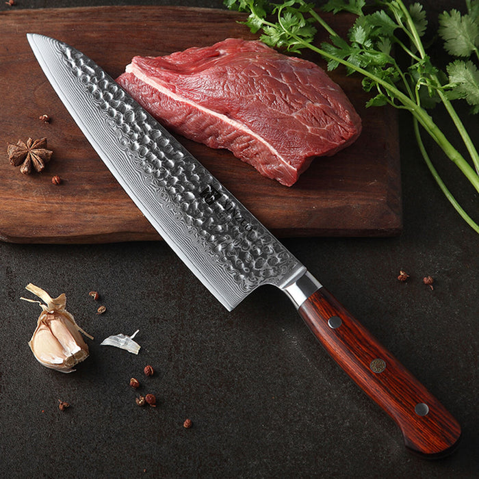 Xinzuo B9 2 Pcs 67 Layers Damascus Steel Kitchen Knife Set
