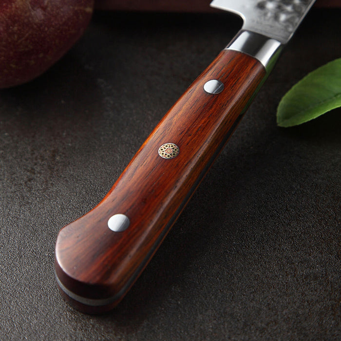Xinzuo B9 2 Pcs 67 Layers Damascus Steel Kitchen Knife Set Chef Utility Knife handle