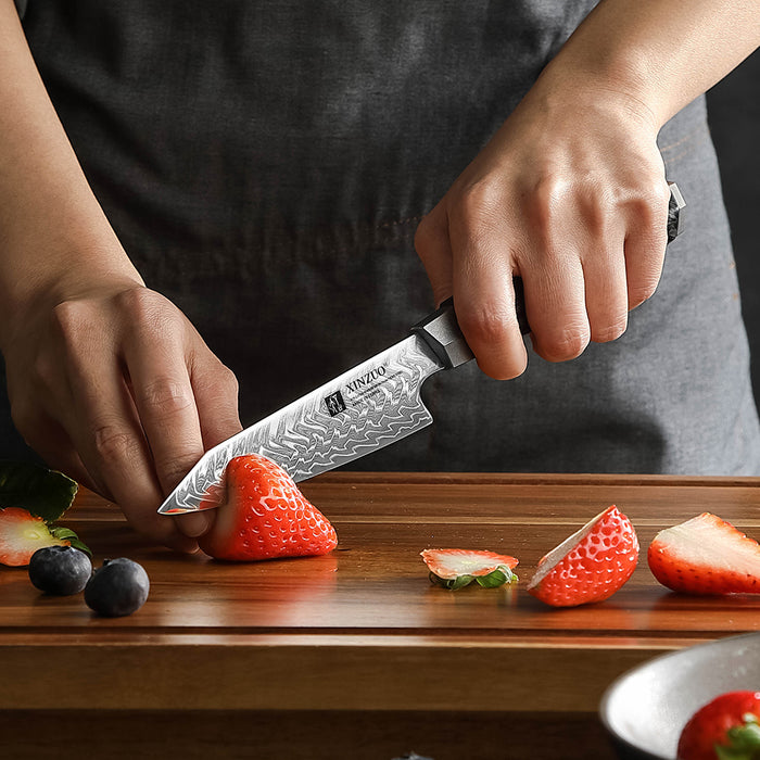Xinzuo X04 Paring Bohler M390 Steel 145-Layer Damascus M390 Knife