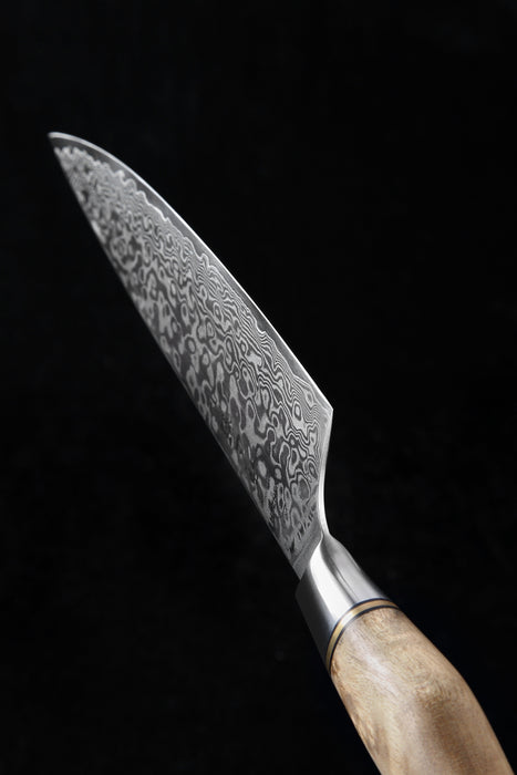 Hezhen B30 Forged Damascus Stainless Steel Kitchen Japanese style Chef Knife - The Bamboo Guy